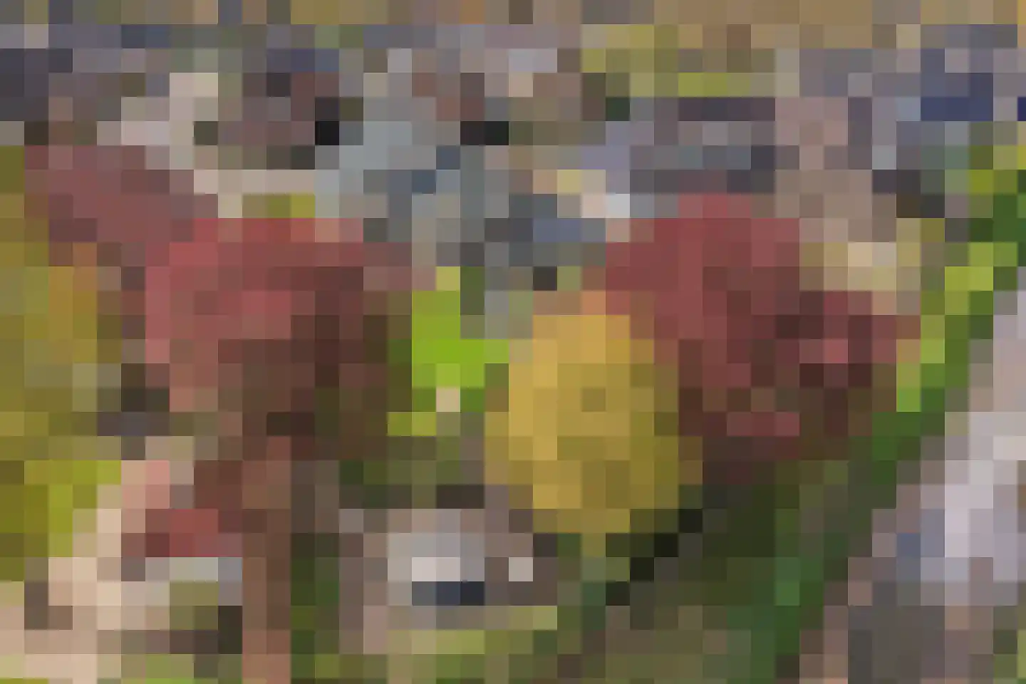 Erve Hofstee 28 Enter thumbnail 44