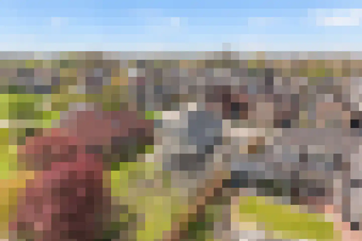 Erve Hofstee 28 Enter thumbnail 45