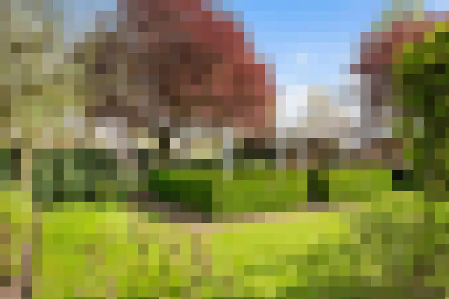 Erve Hofstee 28 Enter thumbnail 7
