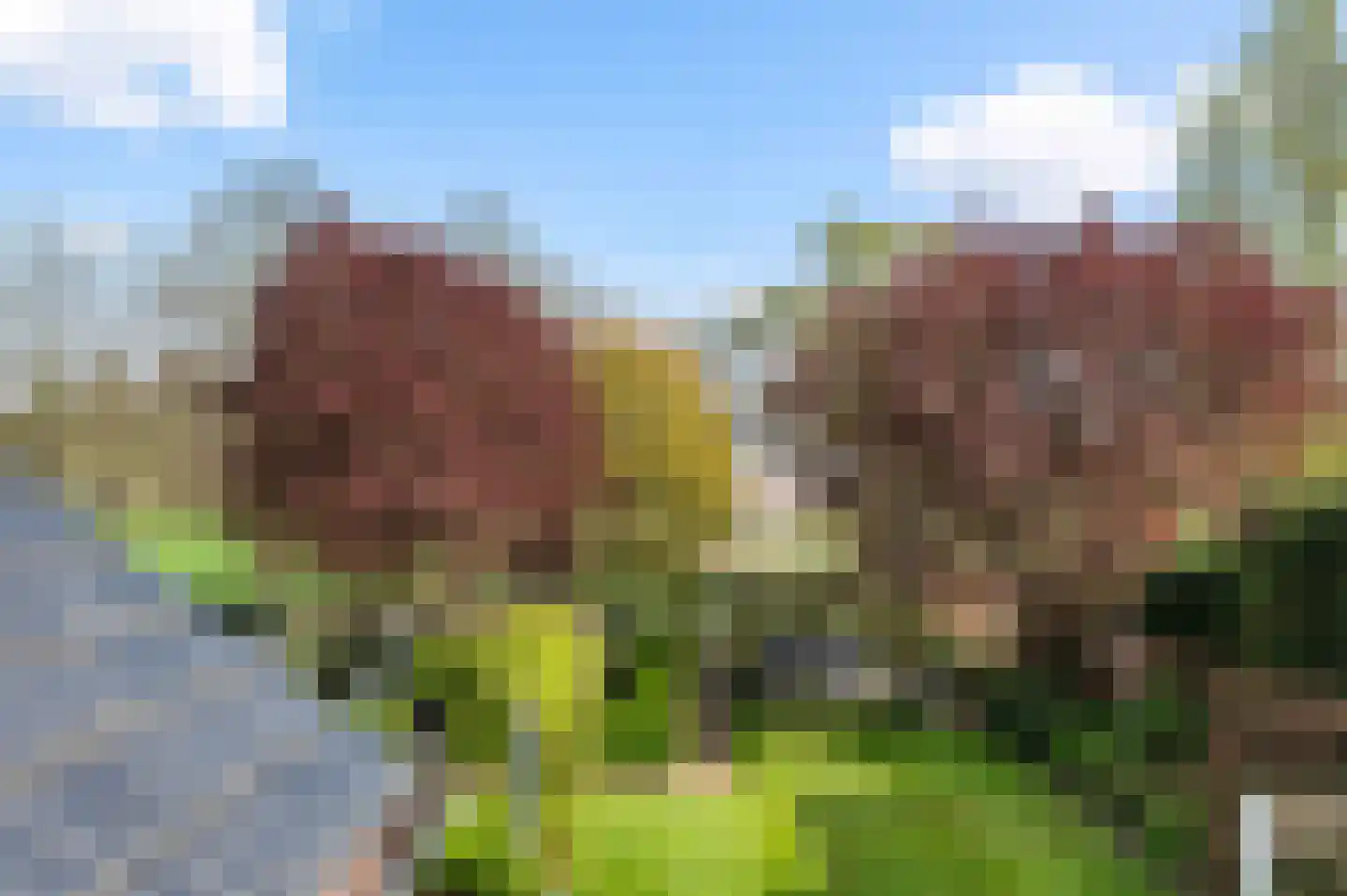 Erve Hofstee 28 Enter thumbnail 9