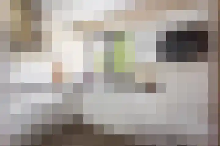 Erve In 't Veld 15 Oldenzaal thumbnail 11