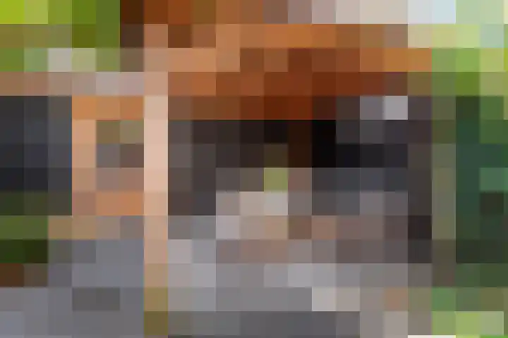 Erve In 't Veld 15 Oldenzaal thumbnail 19