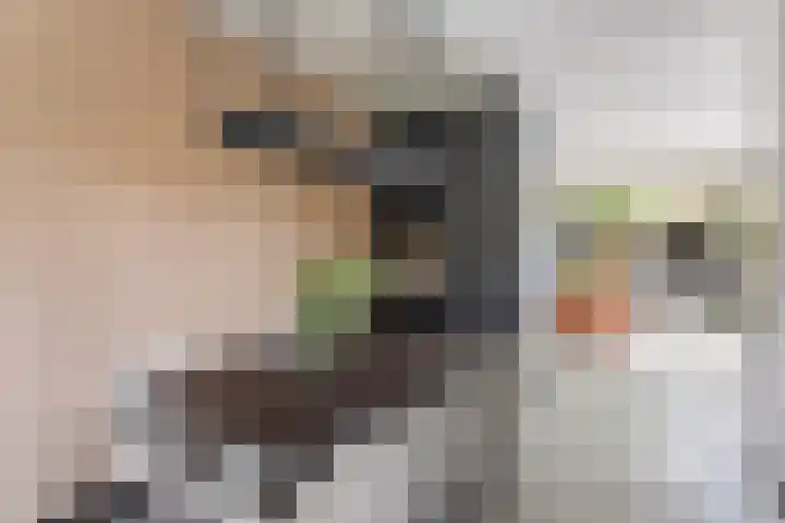 Erve In 't Veld 15 Oldenzaal thumbnail 9