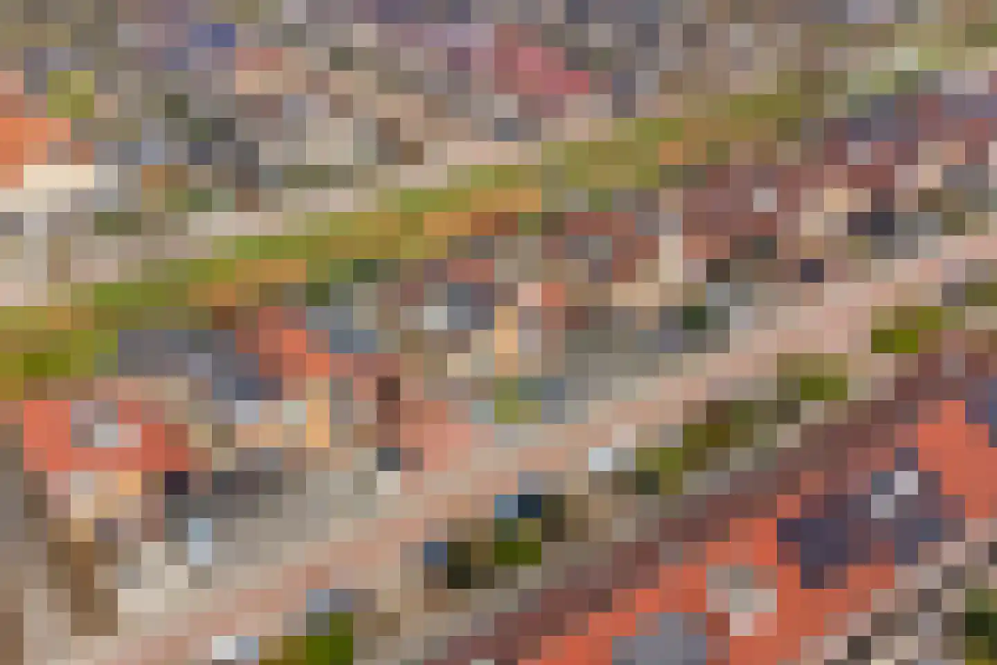 Erve In 't Veld 22 Oldenzaal thumbnail 36