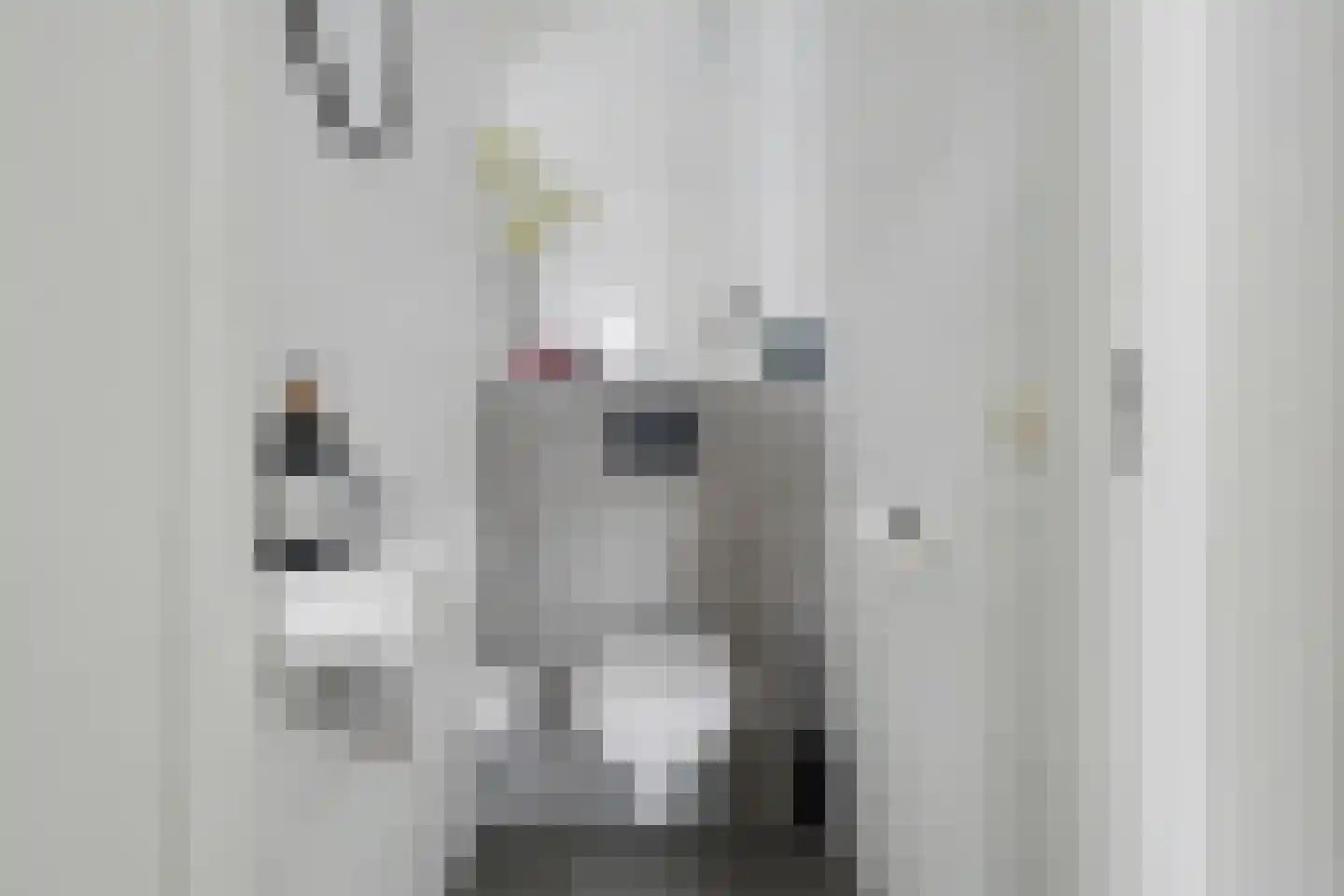 Erve In 't Veld 22 Oldenzaal thumbnail 6