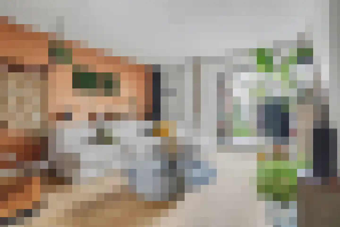 Erve In 't Veld 22 Oldenzaal thumbnail 8