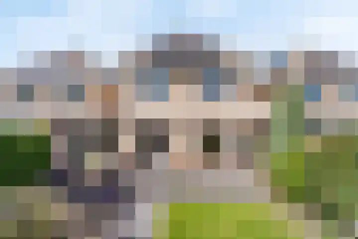 Erve Jenneboer 38 Borne thumbnail 12