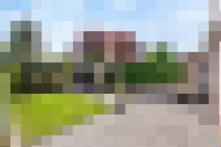 Erve Jenneboer 38 Borne thumbnail 13