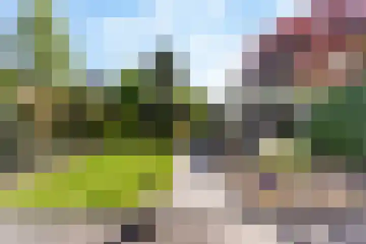Erve Jenneboer 38 Borne thumbnail 14