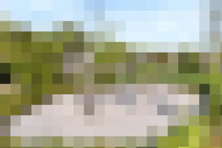 Erve Jenneboer 38 Borne thumbnail 15