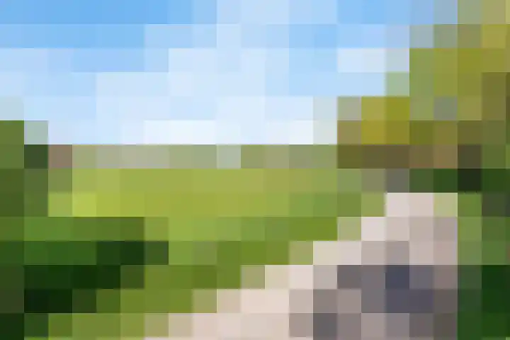 Erve Jenneboer 38 Borne thumbnail 16