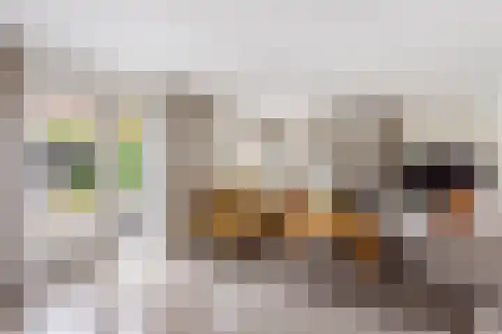 Erve Jenneboer 38 Borne foto 2