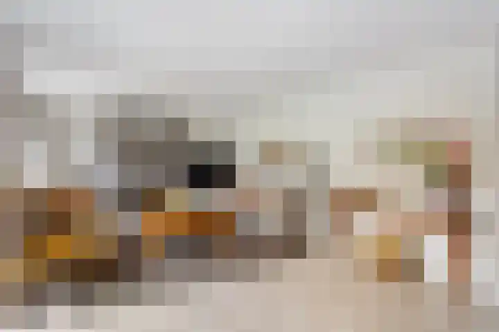 Erve Jenneboer 38 Borne foto 3