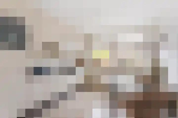 Erve Jenneboer 38 Borne thumbnail 6