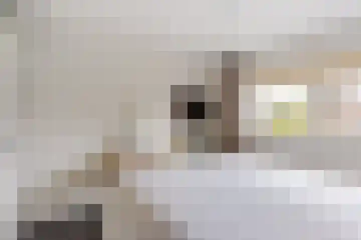Erve Jenneboer 38 Borne thumbnail 9