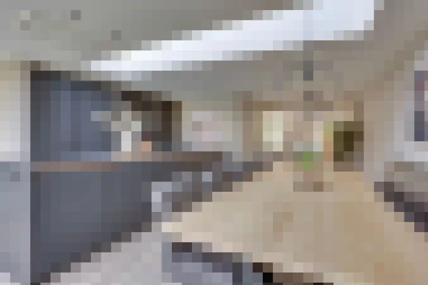 Erve Joost 13 Holten thumbnail 16