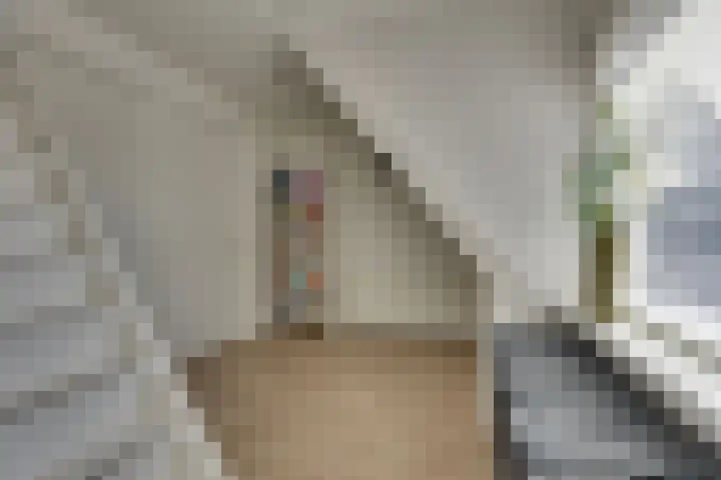Erve Joost 13 Holten thumbnail 31