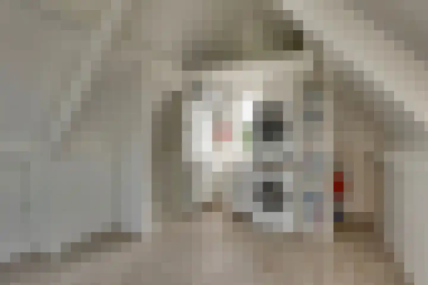 Erve Joost 13 Holten thumbnail 38