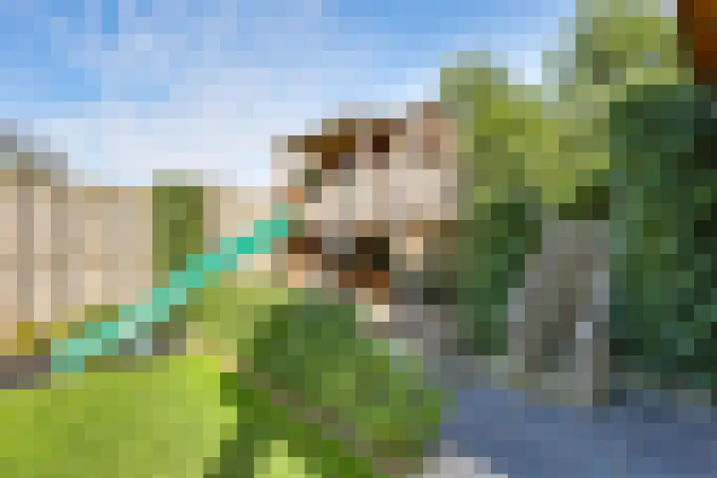 Erve Joost 13 Holten thumbnail 45