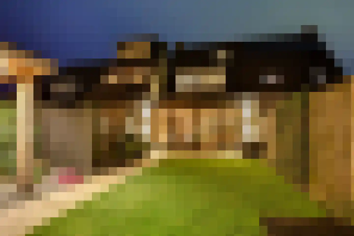 Erve Joost 13 Holten thumbnail 61
