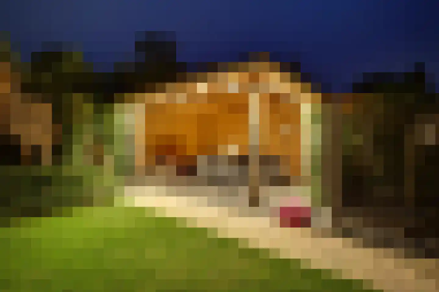 Erve Joost 13 Holten thumbnail 62