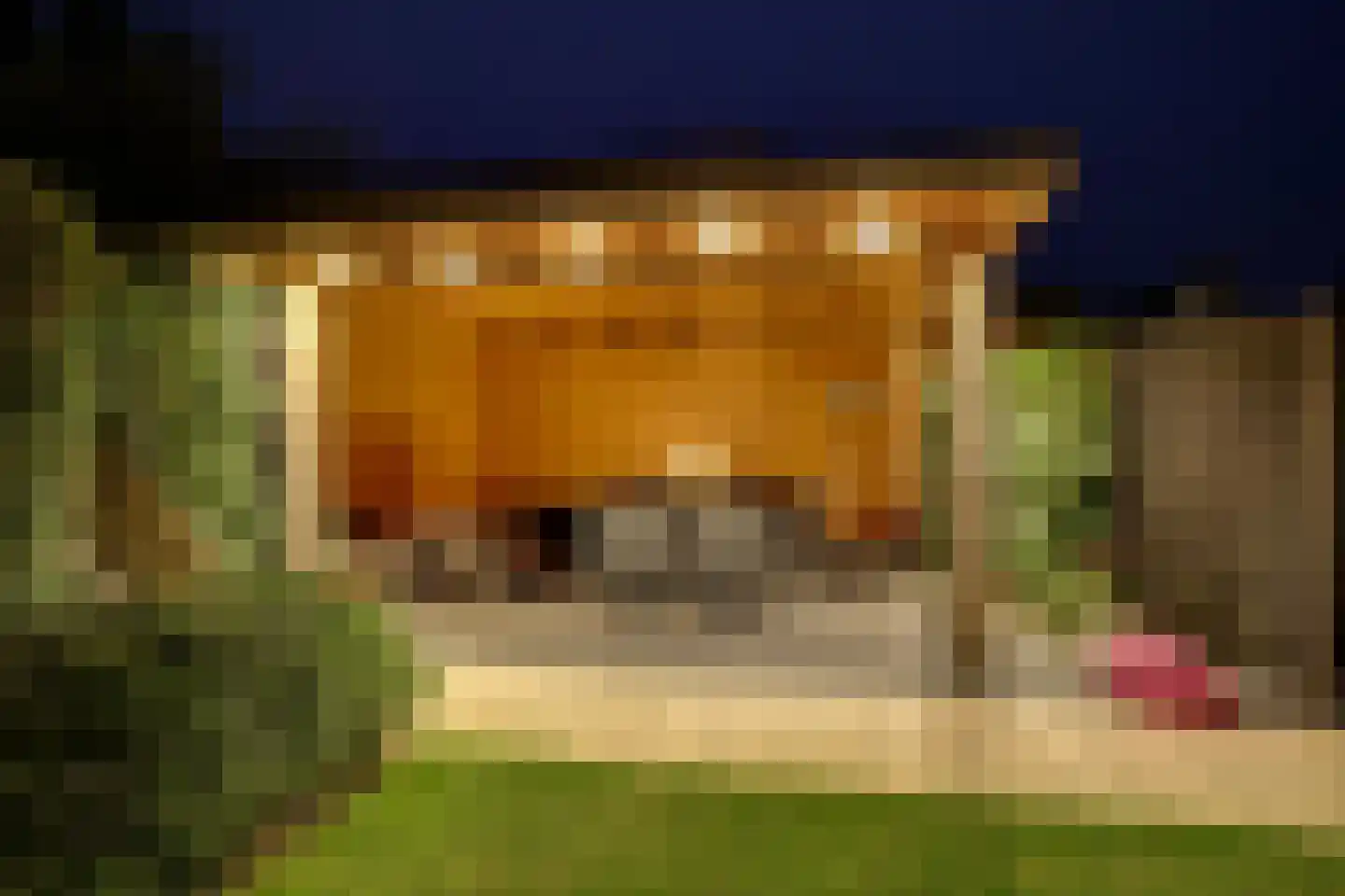 Erve Joost 13 Holten thumbnail 63