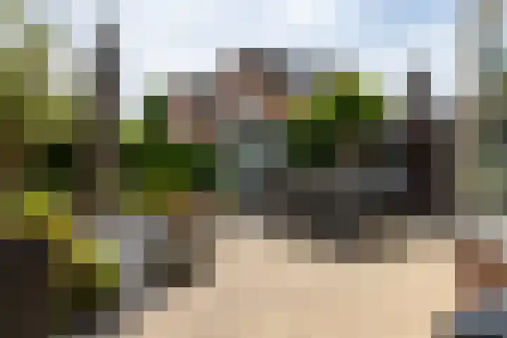 Erve Joost 24 Holten thumbnail 28