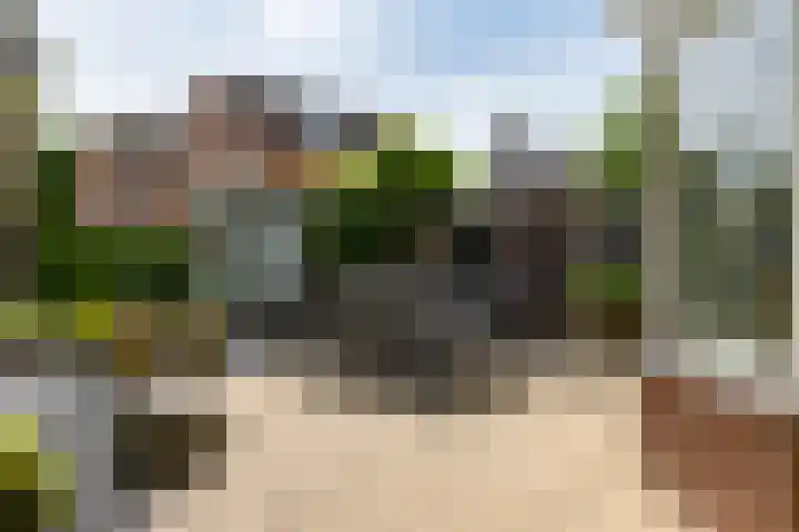 Erve Joost 24 Holten thumbnail 29