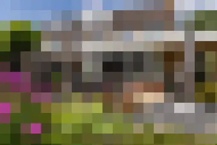 Erve Joost 24 Holten thumbnail 30