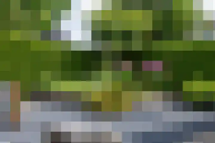 Erve Joost 24 Holten thumbnail 31