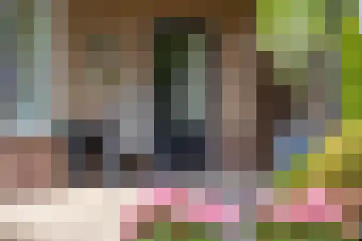 Erve Joost 24 Holten thumbnail 33