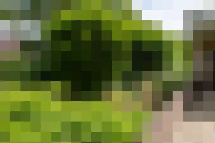 Erve Joost 24 Holten thumbnail 34