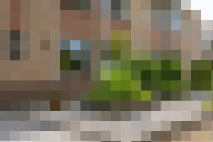 Erve Joost 24 Holten thumbnail 35