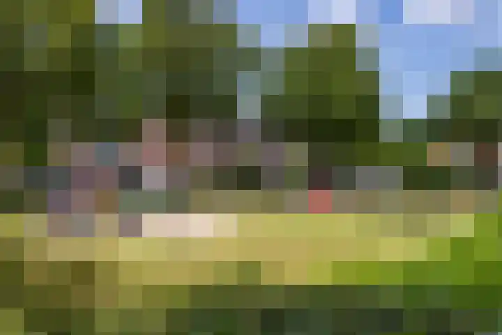 Erve Joost 24 Holten thumbnail 40
