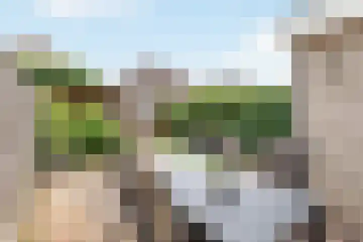 Erve Klöpper 24 Oldenzaal thumbnail 20