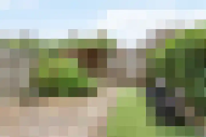 Erve Klöpper 24 Oldenzaal thumbnail 21
