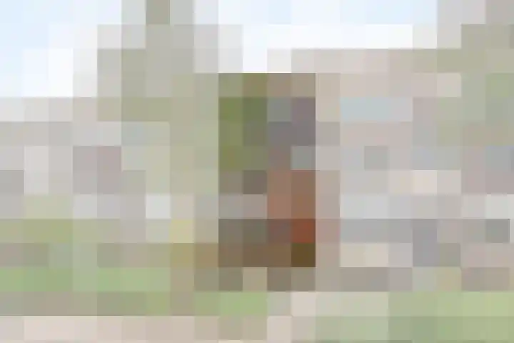 Erve Klöpper 24 Oldenzaal thumbnail 6
