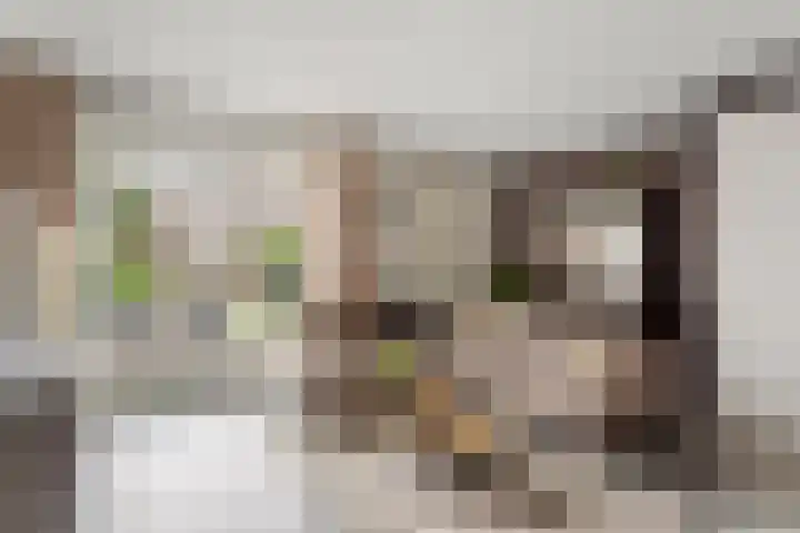 Erve Klöpper 24 Oldenzaal thumbnail 7