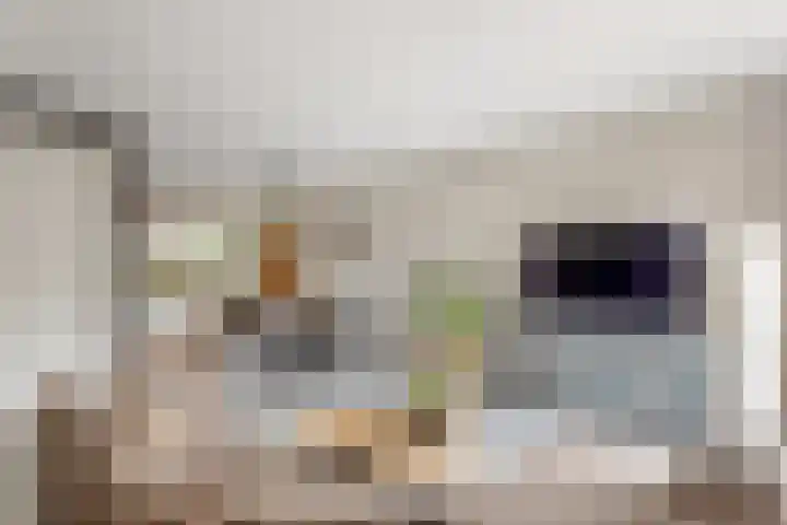 Erve Klöpper 24 Oldenzaal thumbnail 9
