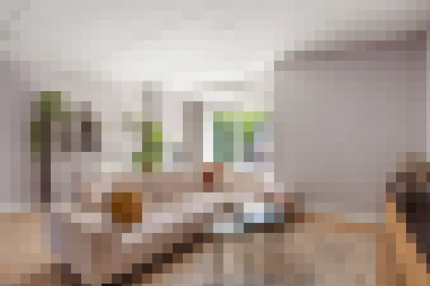 Erve Klöpper 28 Oldenzaal thumbnail 9