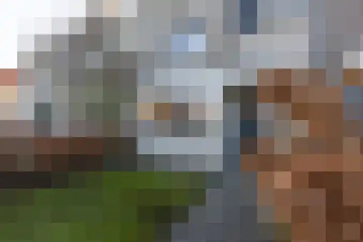 Erve Klöpper 38 Oldenzaal thumbnail 5