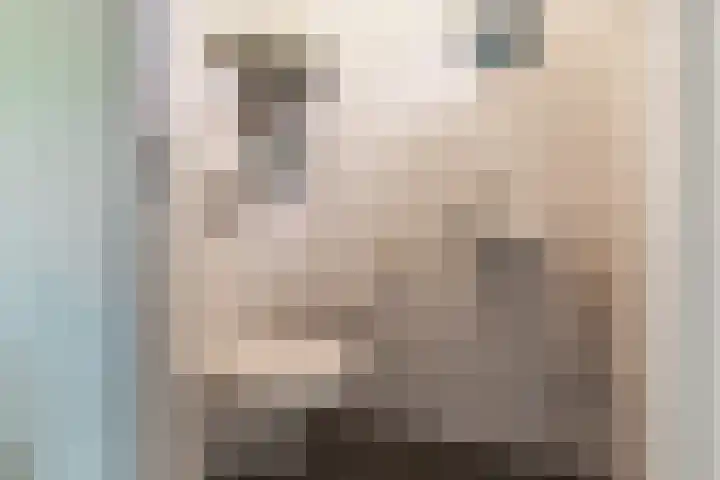 Erve Klöpper 38 Oldenzaal thumbnail 7