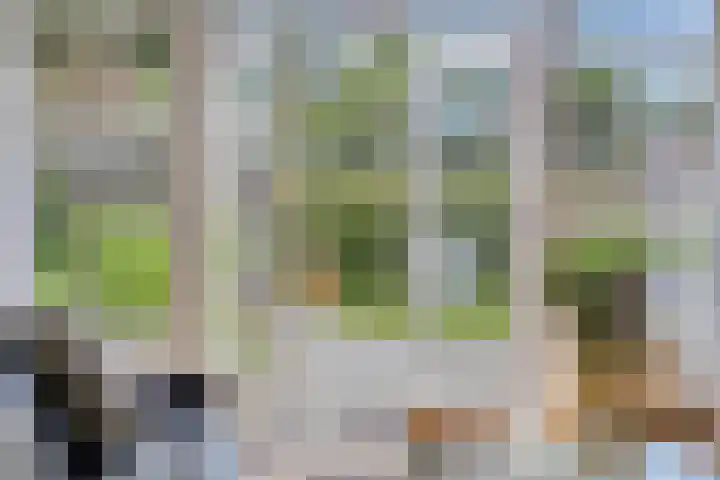 Erve Lambertman 16 Oldenzaal thumbnail 10