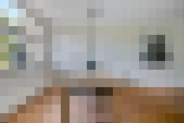 Erve Lambertman 16 Oldenzaal thumbnail 17