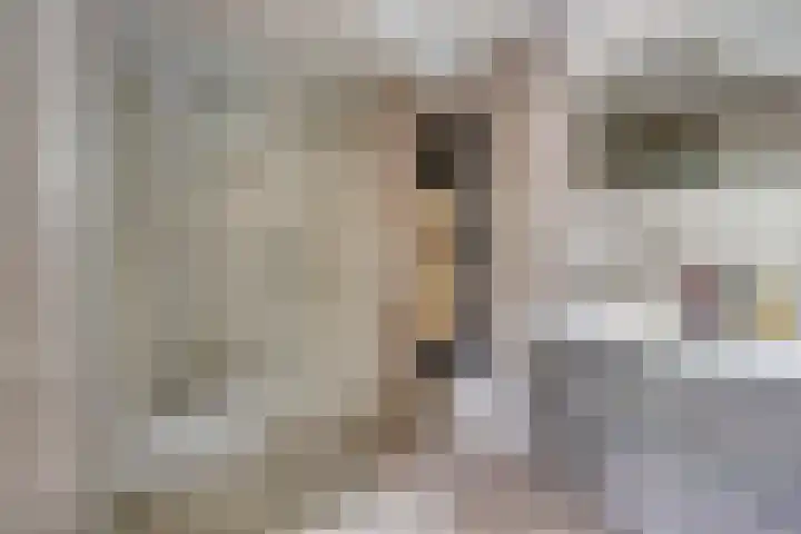 Erve Lambertman 16 Oldenzaal thumbnail 23