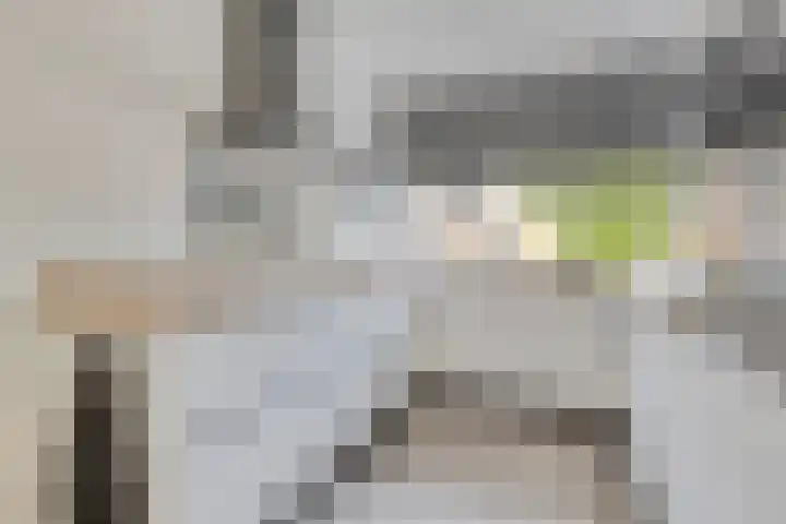Erve Lansink 21 Oldenzaal thumbnail 10