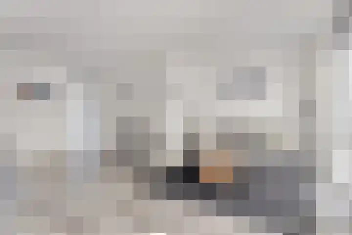 Erve Lansink 21 Oldenzaal thumbnail 4