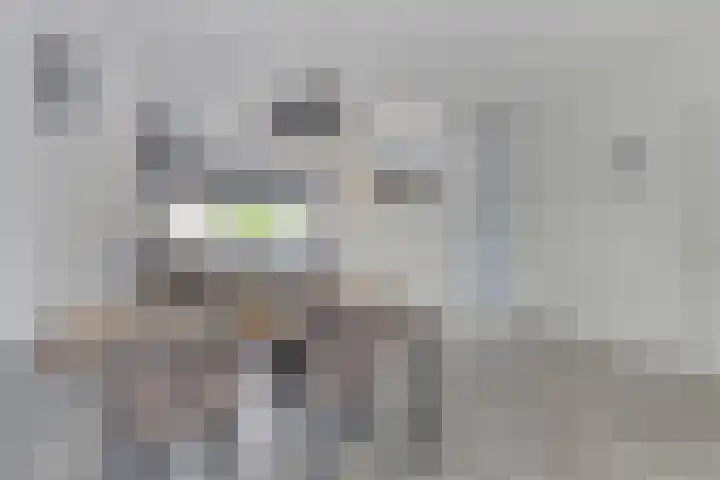 Erve Lansink 21 Oldenzaal thumbnail 8