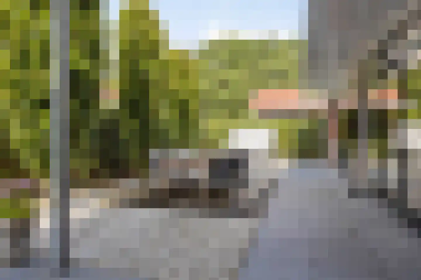 Erve Lansink 22 Oldenzaal thumbnail 29