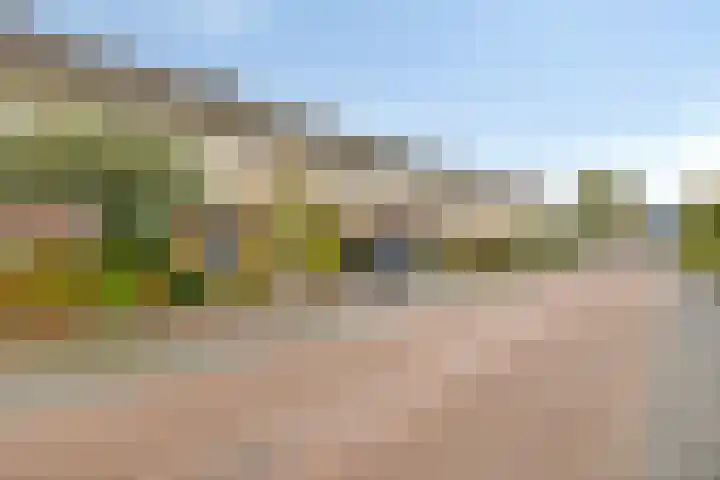 Erve Maatman 11 Oldenzaal thumbnail 27